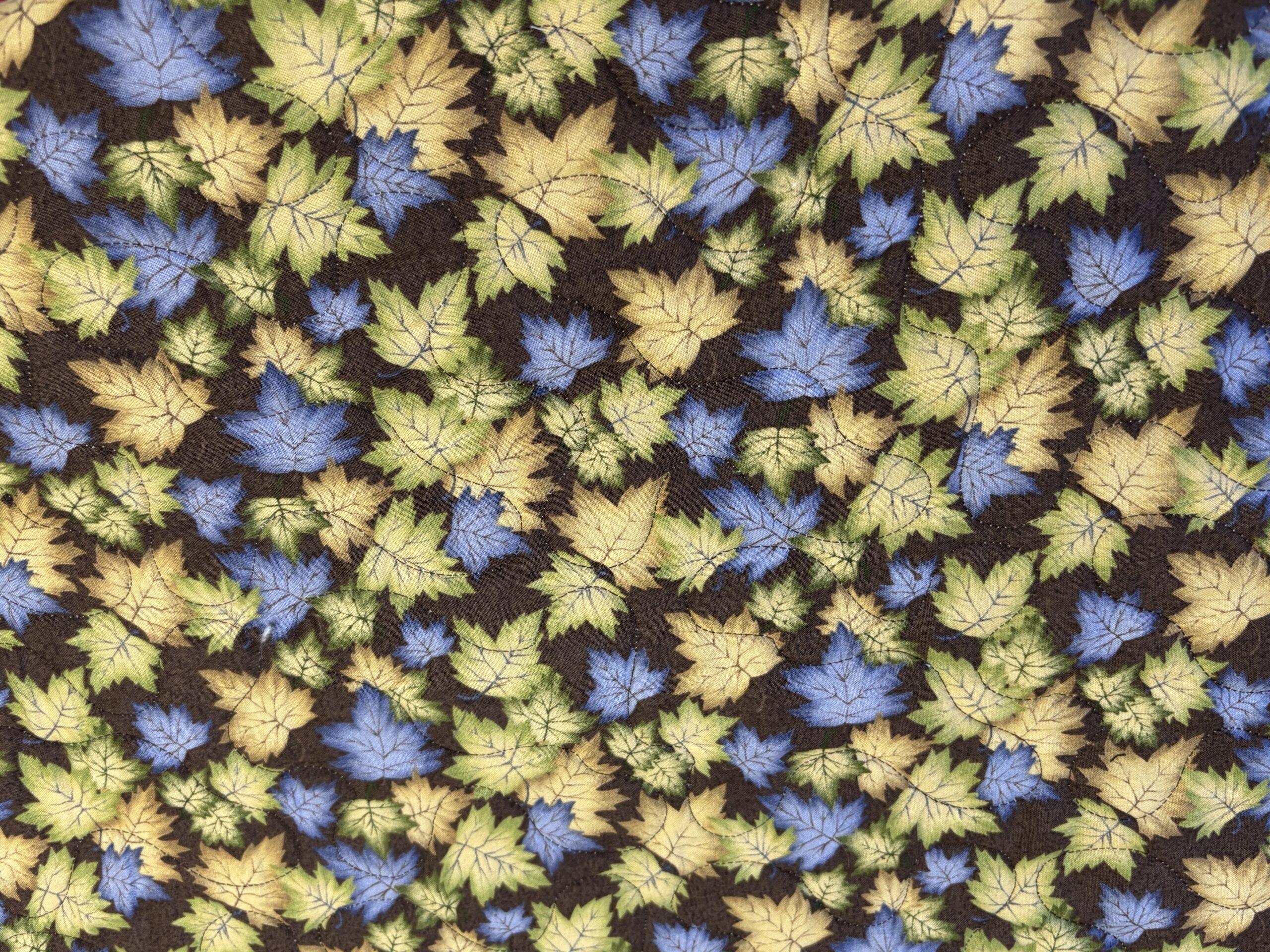 Nature's Window - Image 5